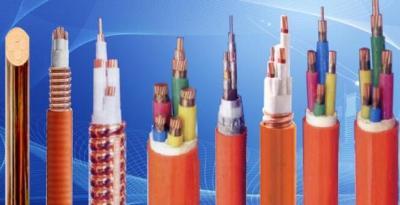 西安津成電線電纜陜西直營(yíng)店 專業(yè)電纜經(jīng)營(yíng)服務(wù)